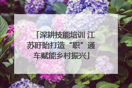 深耕技能培训 江苏盱眙打造“职”通车赋能乡村振兴